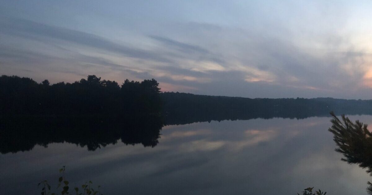 【昼更新】体調は戻りつつあるけど