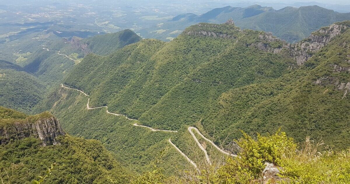 用于显示的 style.css 也反映在古腾堡编辑器中。