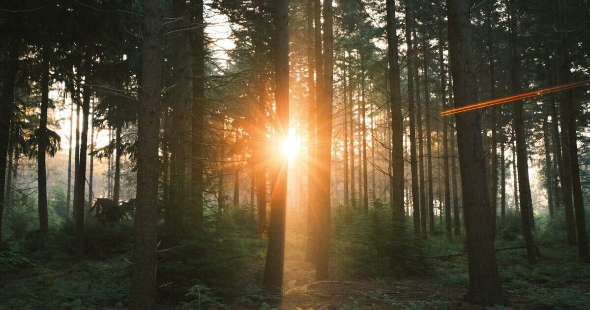 【夜更新】こういう日もある