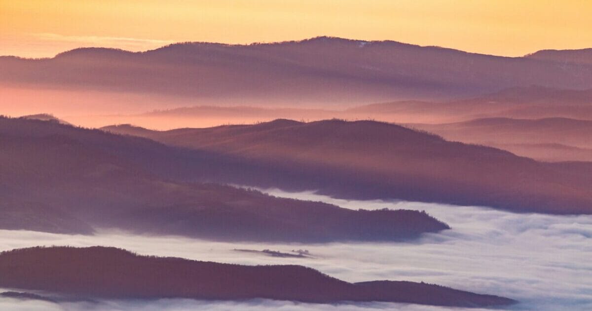 LiteSpeed Cache プラグインのクロール　2回連続成功