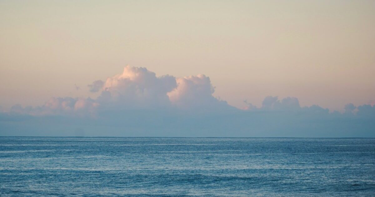 Twenty Twenty Five テーマのブログトップページのレイアウト変更