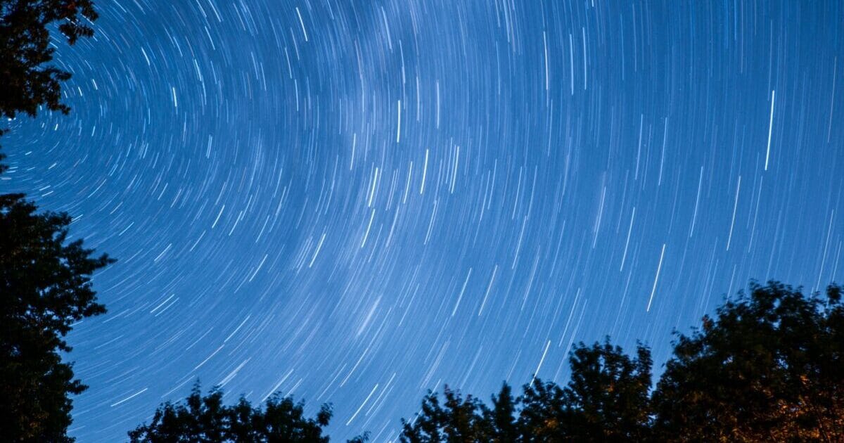 Twenty Twenty Five テーマの2ペインレイアウトを調整