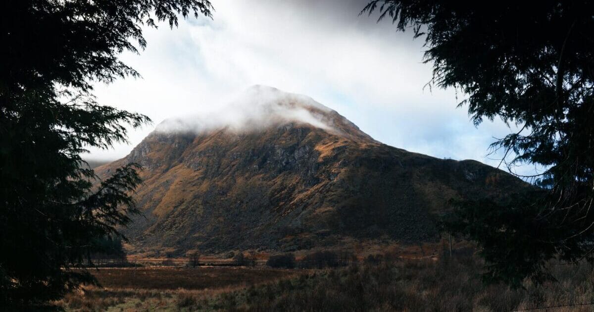 年始らしいゆっくりとした一日