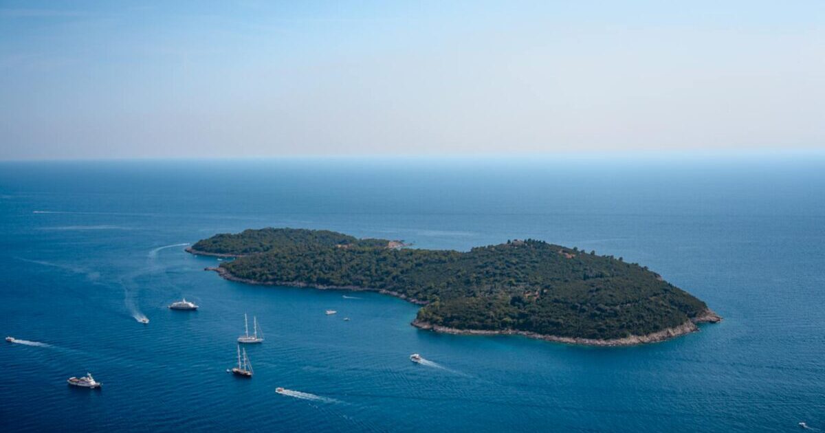 スピードキューブ記録 20250105