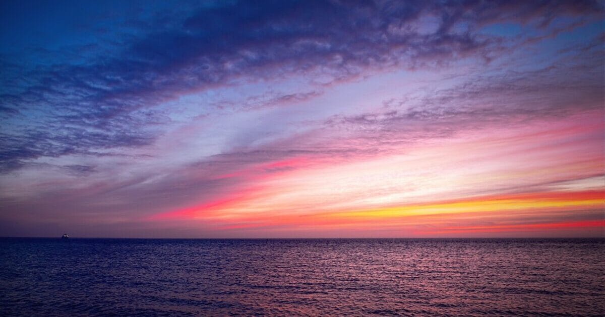 Twenty Twenty Five テーマにインストール済のプラグイン一覧