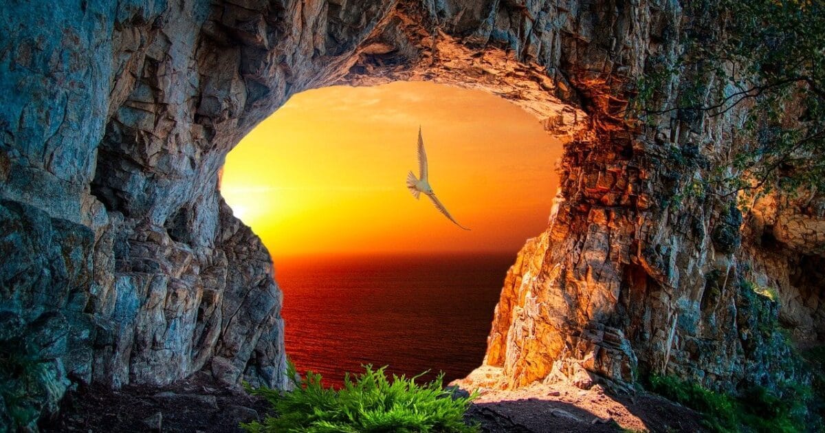 Simple Blog Card プラグインのインストールと LiteSpeed Cache プラグインの調整