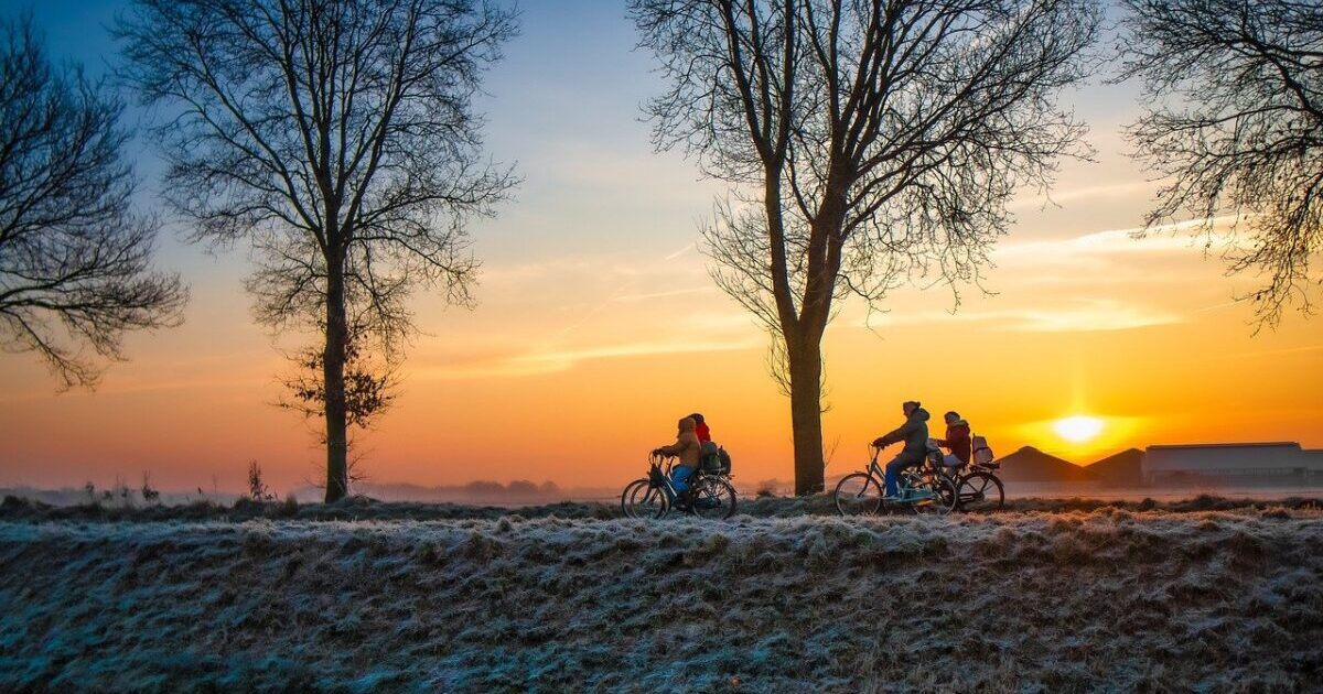cycling, nature, students, sunrise, netherlands, landscape