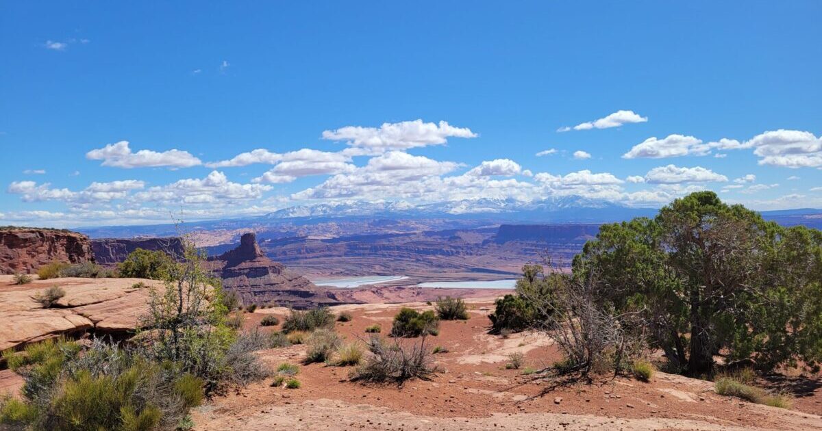 Twenty Twenty Five テーマに検索を追加する