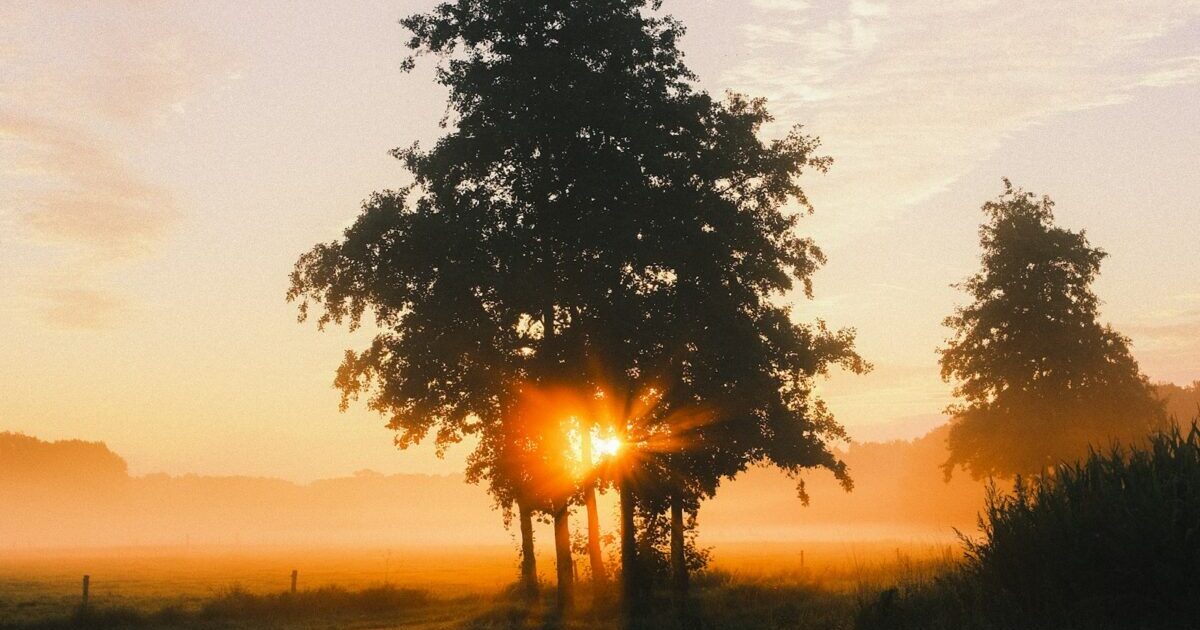 Twenty Twenty Five テーマに SimpleTOC プラグインで目次ブロックを追加する