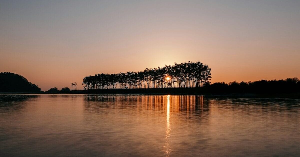 Block Visibility 插件非常棒