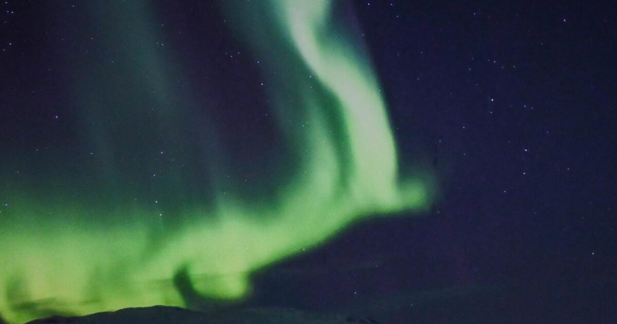 Fixing display disturbance with LiteSpeed Cache in WP Mobile Bottom Menu