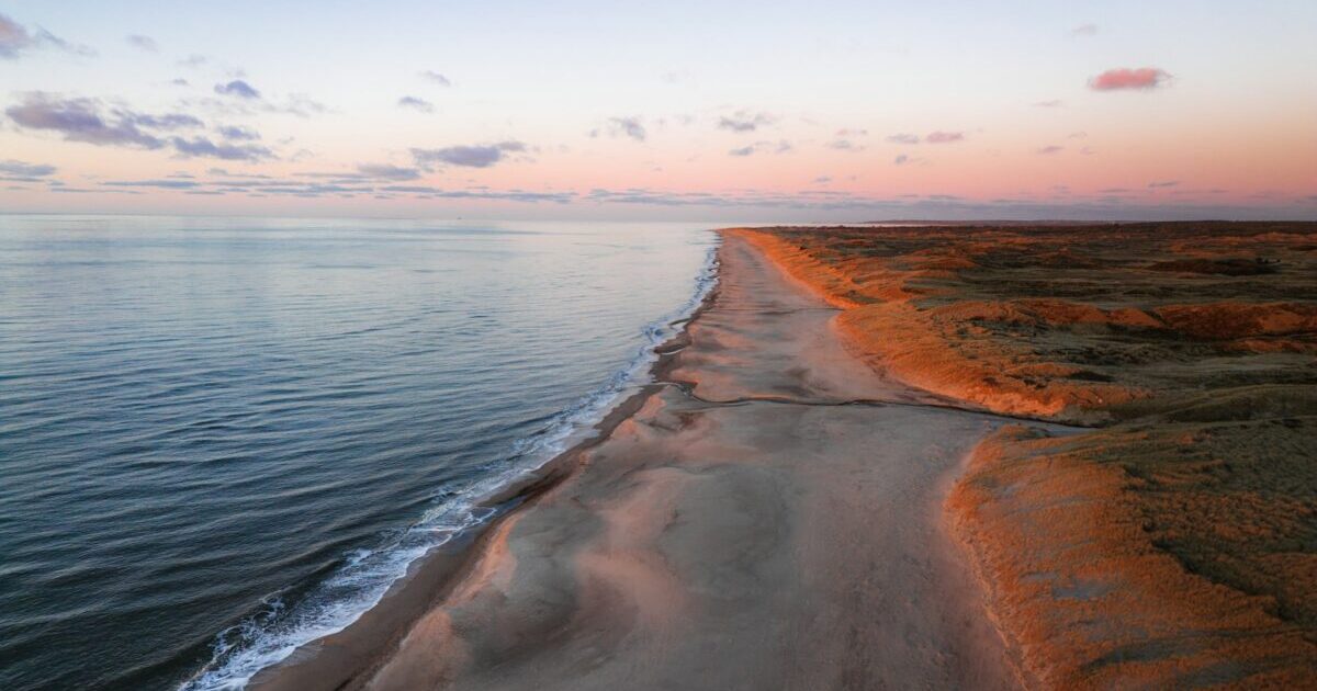 LiteSpeed Cache 和 WordPress 的 APO 哪个更好?