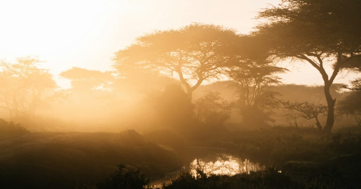 Detailed instructions for changing to a two-column layout in Twenty Twenty Five