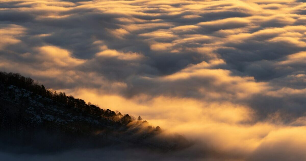 Fixing display disturbance in LiteSpeed Cache and gradually expanding the scope of UCSS generation