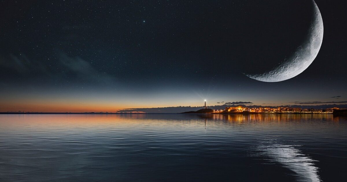 忙しいようで暇な一日