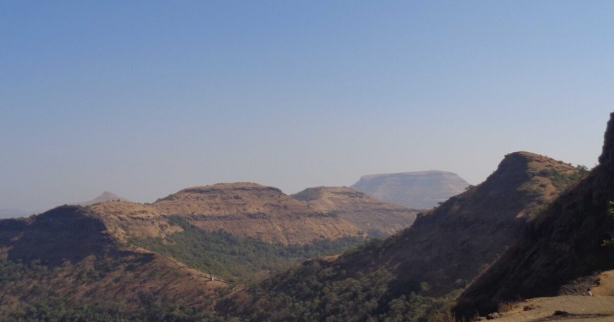 macOS とか Obsidian とか LiteSpeed Cache とか